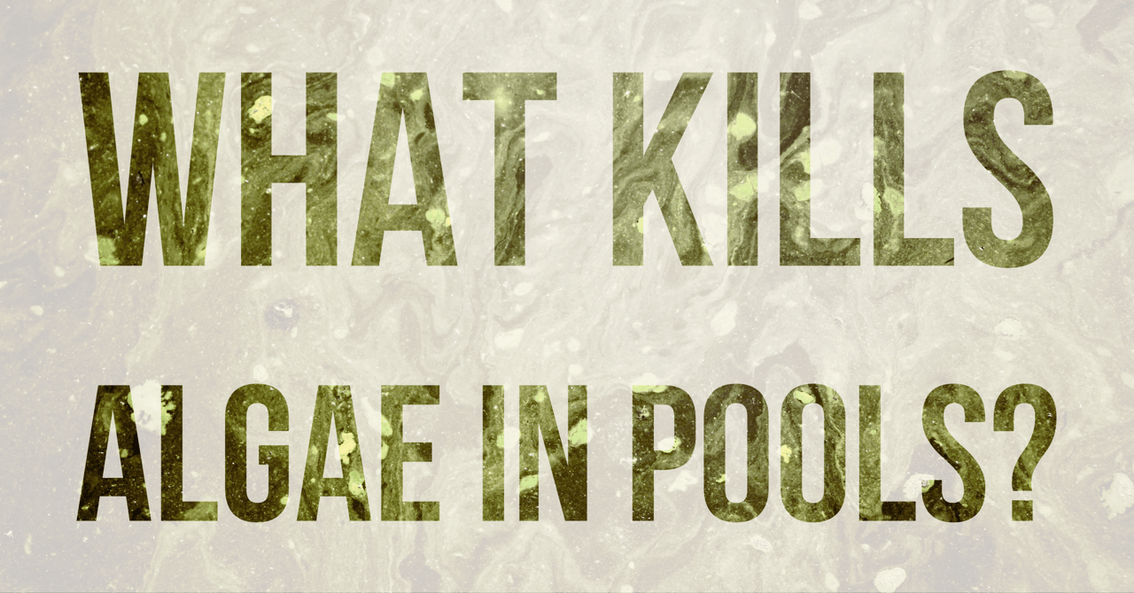 what kills algae in pools text over algae image