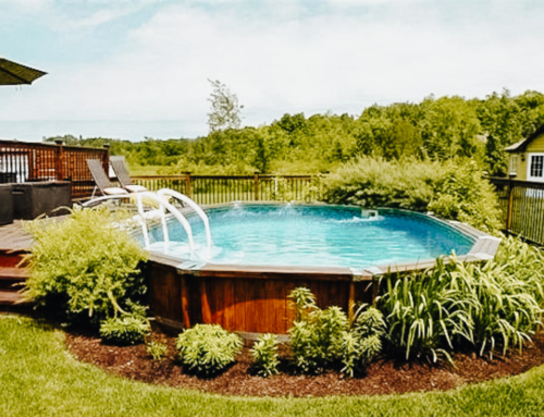 How Above Ground Pools Can Transform Backyard Living Area