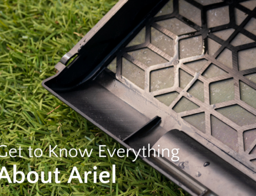 Get to Know Everything About Ariel