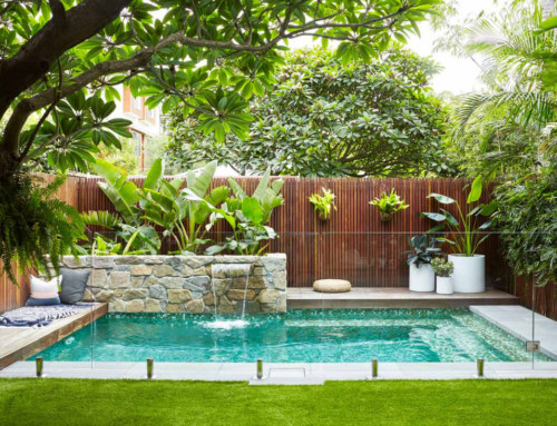 Plant These Pool Friendly Trees