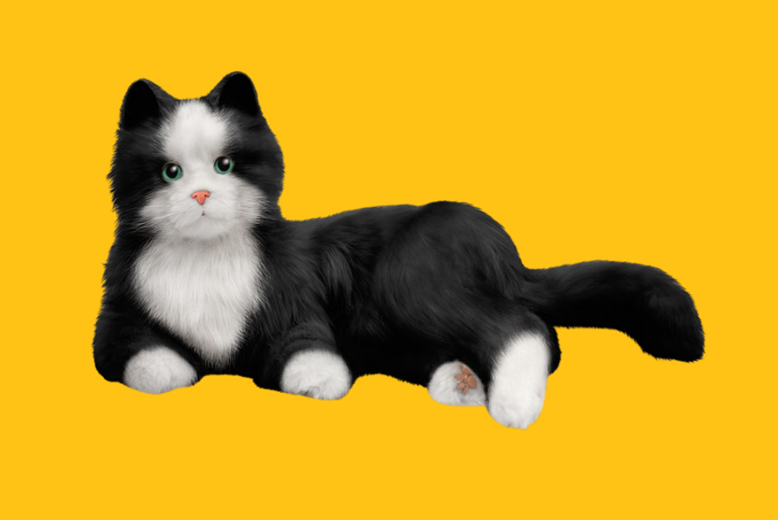 Tuxedo Cat is available on RobotShop